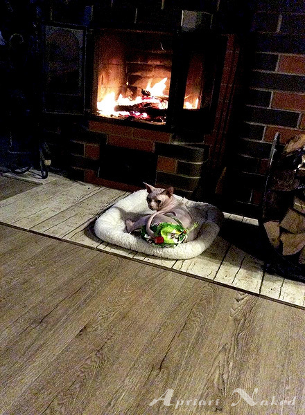 Our Johnny big boy like to sit near the fire